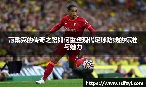 范戴克的传奇之路如何重塑现代足球防线的标准与魅力