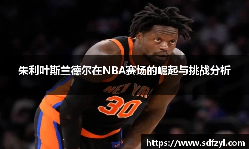 朱利叶斯兰德尔在NBA赛场的崛起与挑战分析